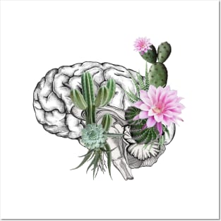 Brain, human anatomy, mental health, succulents plants, aloe cactus Posters and Art